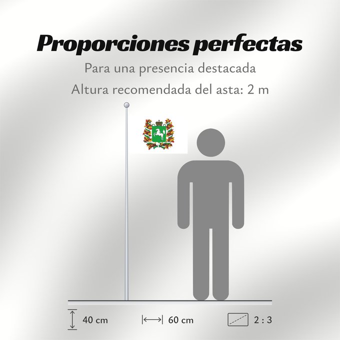 Proporciones de la bandera: Tomskaya oblast'