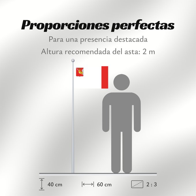 Proporciones de la bandera: Vologda Oblast	Vologda Oblast 	Oblast de Vologda	Óblast de Vólogda	Oblast Wologda