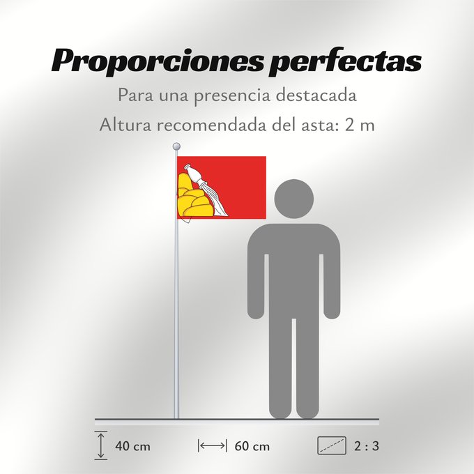 Proporciones de la bandera: Voronezh Oblast Voronezh Oblast of Russia Oblast de Voronej Óblast de Vorónezh Oblast Woronesch Флаг Воронежской области Россия Прапор Воронезької області Росія