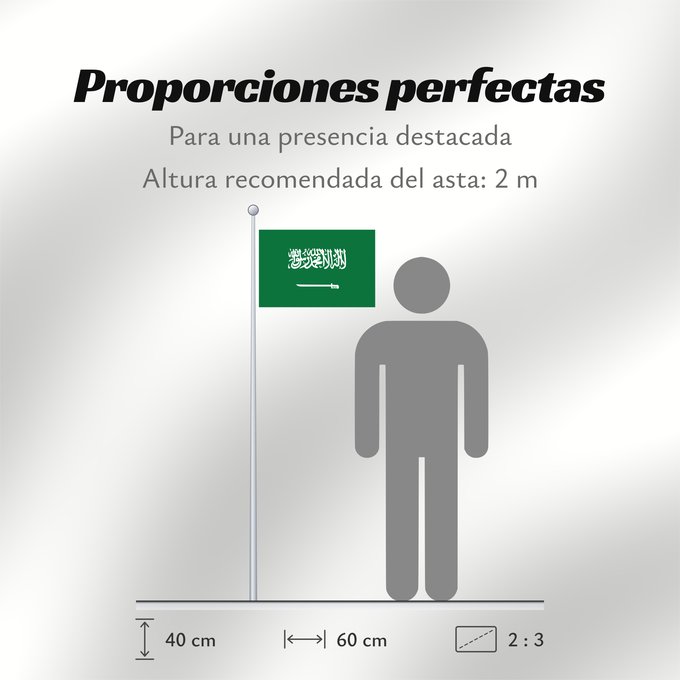 Proporciones de la bandera: Civil Ensign of Saudi Arabia obverse Saudi Arabia Arabie saoudite Arabia Saudita Saudi-Arabien