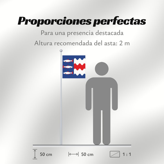 Proporciones de la bandera: Västernorrlands län