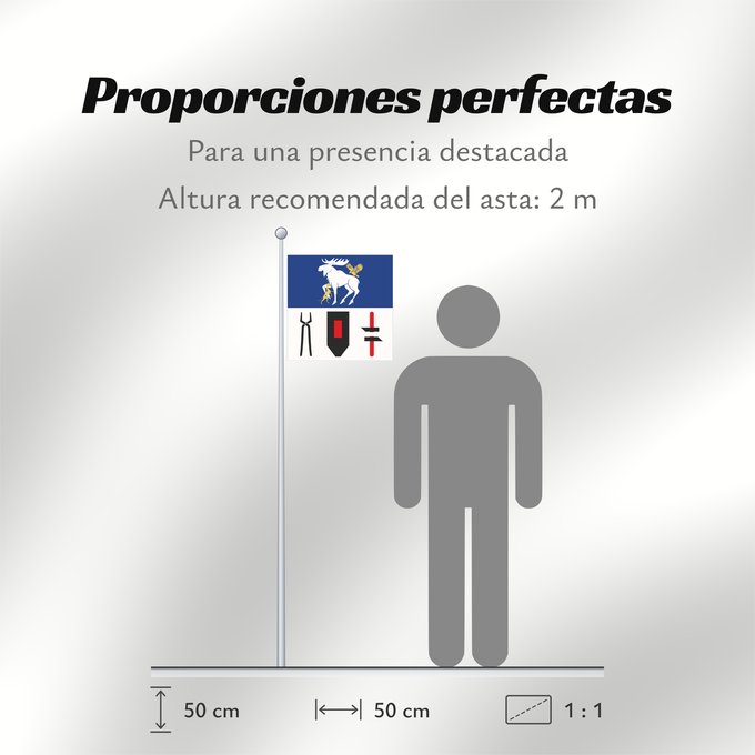 Proporciones de la bandera: Jämtlands län