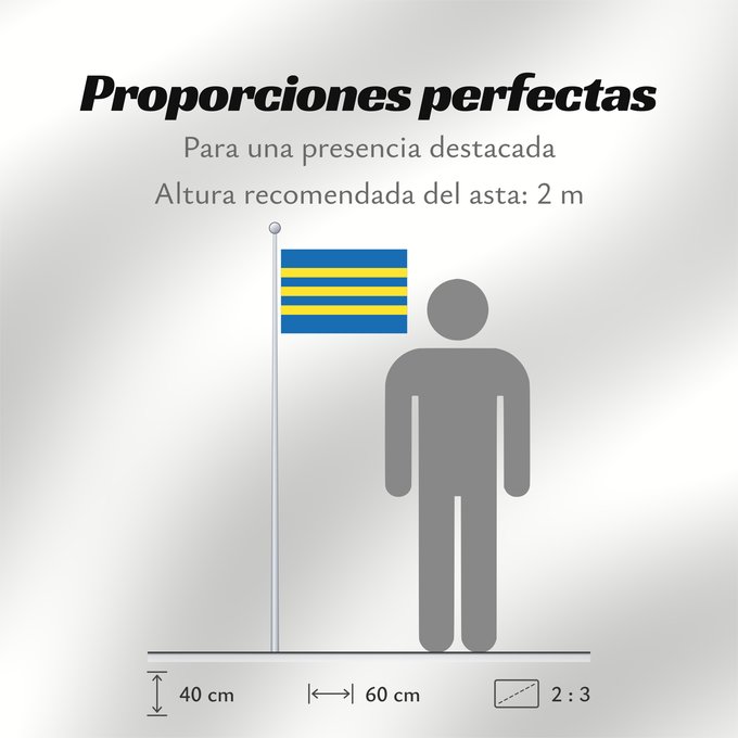 Proporciones de la bandera: Trnavsky vlajka	Trnava Region	Région de Trnava	Región de Trnava	Trnava	Trnava Regione