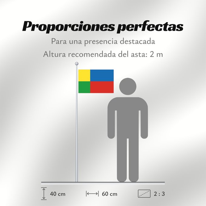 Proporciones de la bandera: Zilinsky vlajka	Žilina Region	Région de Žilina	Región de Žilina	Žilina