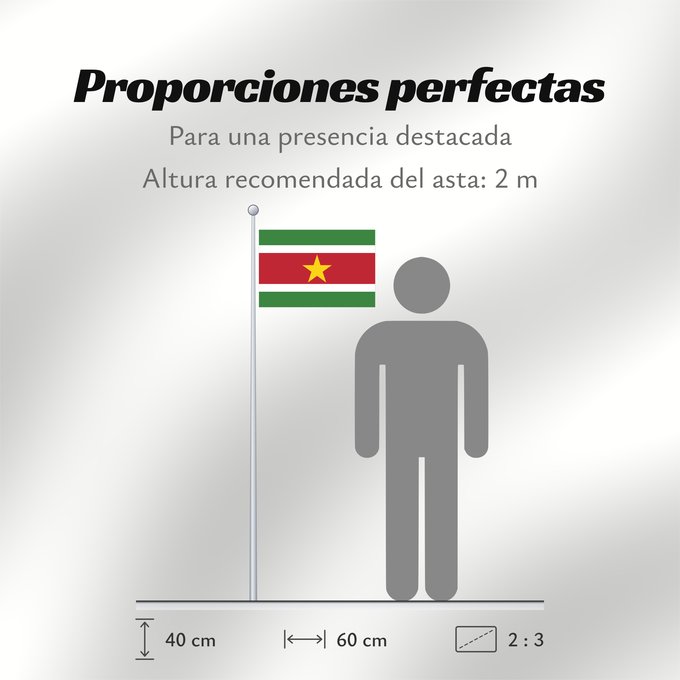 Proporciones de la bandera: Suriname	Surinam	সুরিনামের জাতীয় পতাকা	Surinamo	Fan Suriname	सूरीनाम का ध्वज	Bendéra Suriname	Surinamiae	Vun Surinam	Unancha Surinam	Styago Suriname	Флаг Суринама	Surinama	Fraga fu den Ripoliku Sranan	פאן סורינאםס