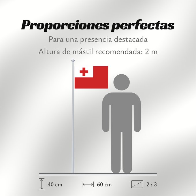 Proporciones de la bandera: Tonga	Thonga	Brattagh ny Tongey	Tonge	Fuka ʻo Tonga