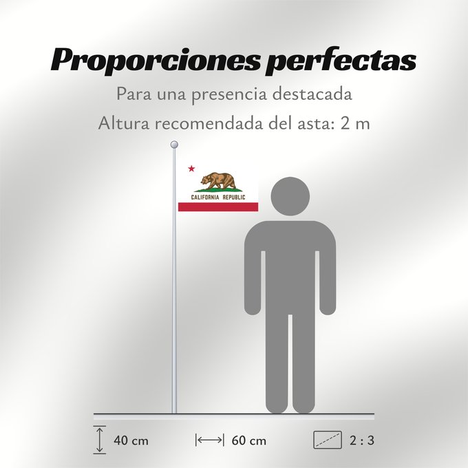 Proporciones de la bandera: California	Californie	Kalifornien	Californië	ᎠᏕᎳᏧᏢᎢ ᎦᏓᏘ	Ka hae Kaleponi	דגל מדינת קליפורניה	Californiae	Ahééháshį́į́h Hahoodzo bidah naatʼaʼí	Флаг Калифорнии	Američke savezne države Kalifornije	ⴰⵙⴻⵏⵢⴰⵍ ⵏ ⴽⴰⵍⵉⴼⵓⵕⵏⵢⴰ