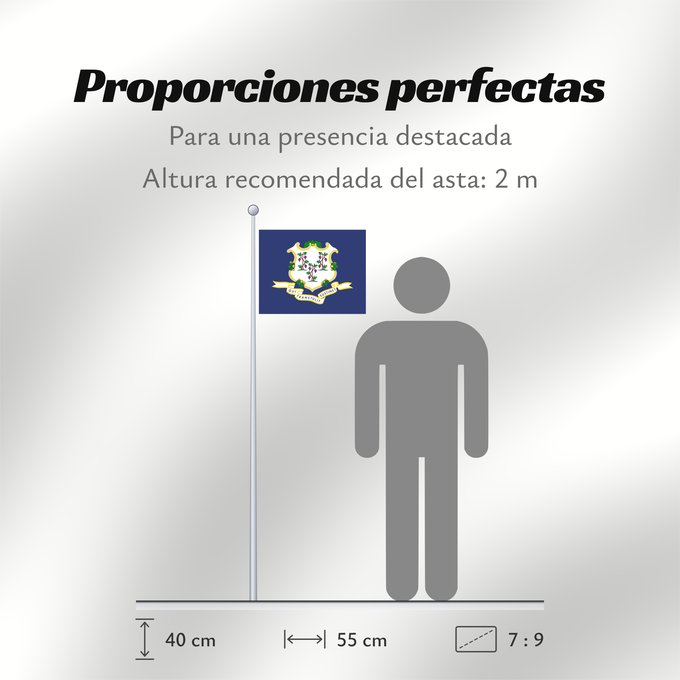 Proporciones de la bandera: Connecticut ᎧᏁᏓᎦᏗ ᎦᏓᏘ Ka hae Konekikuka Connecticutae Kanédiki hahoodzo bidah naatʼaʼí Флаг Коннектикута Američke savezne države Konektikat