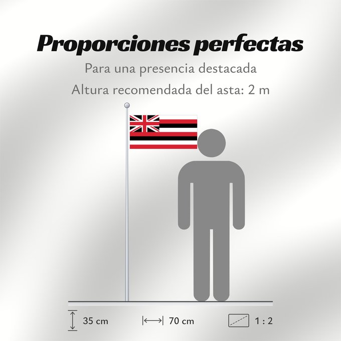 Proporciones de la bandera: Hawaii D Hawaï Hawái Banniel Hawaii ᎭᏩᏱ ᎦᏓᏘ Ka hae Hawaiʻi 夏哇夷 州의 旗 / 하와이 주의 기 Havaii Hawáai Hahoodzo bidah naatʼaʼí Флаг Гавайев Američke savezne države Havaji