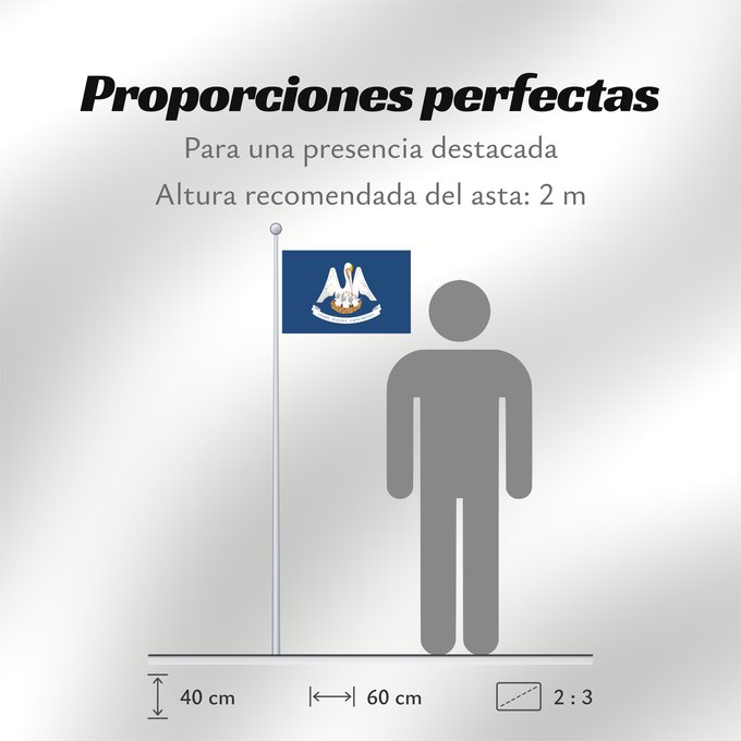 Proporciones de la bandera: Louisiana	For more information	Louisiane	Luisiana	ᎷᏫᏏᎡᎾ ᎦᏓᏘ	Ka hae Luikiana	Ludovicianae	Liwíízíʼeenah Hahoodzo bidah naatʼaʼí	Флаг Луизианы	Američke savezne države Lousiane