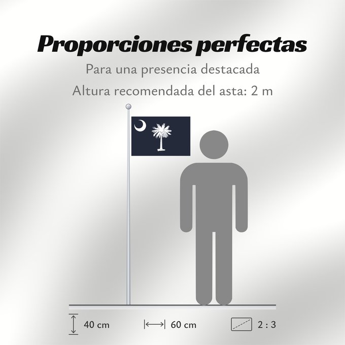 Proporciones de la bandera: South Carolina Caroline du Sud Carolina del Sur Carolina del Sud علم كارولاينا الجنوبية ᏐᎦᎴᏂ ᎦᏓᏘ Ka hae Kalolaina Hema Carolinae Meridionalis Shádiʼááhjí Kééláanah Hahoodzo bidah naatʼaʼí Флаг Южной Каролины Američke savezne države Južne Karoline