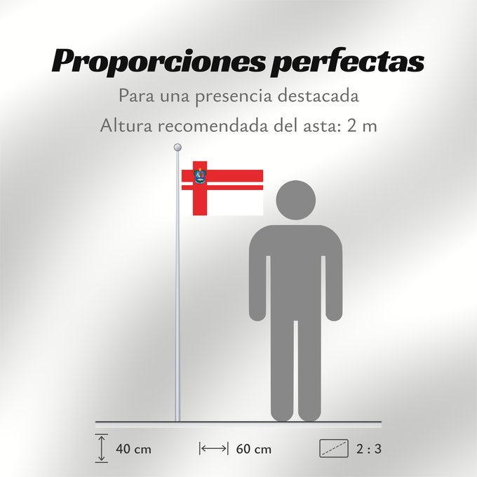 Proporciones de la bandera: Florida Department Florida