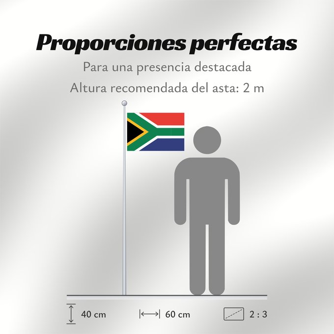 Proporciones de la bandera: South Africa	Afrique du Sud	Sudáfrica	Südafrika	Sudafrica	South África Used color National flag | South African Government and Pantone Color Picker      green rendered as RGB 000 119 073Pantone 3415 C      yellow rendered as RGB 255 184 028Pantone 1235 C 