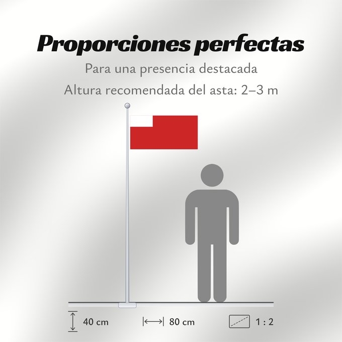 Proporciones de la bandera: Abu Dhabi	D Abou Dabi	علم أبو ظبي	Abu Dabi	Прапор Абу-Дабі