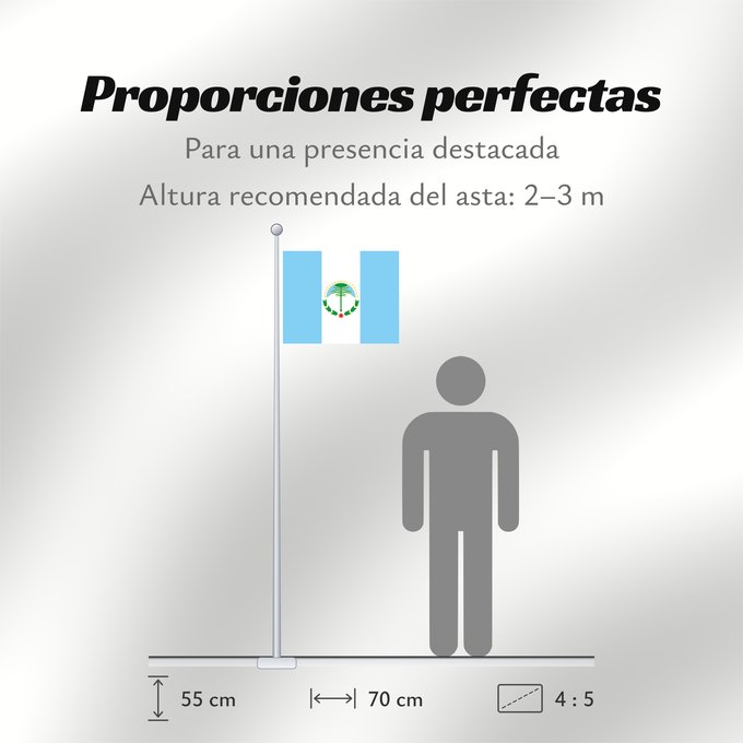 Proporciones de la bandera: Neuquén