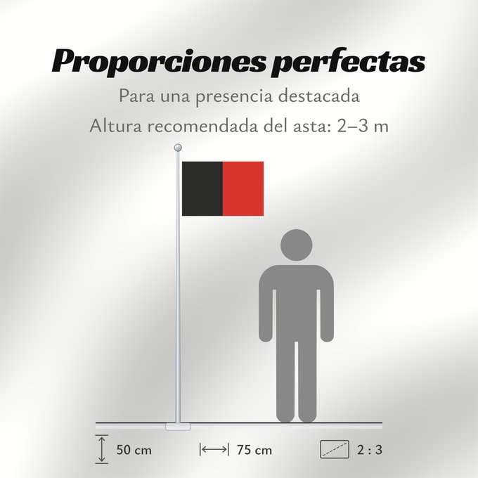 Proporciones de la bandera: Namur Province Namur Shows the flag of the province of Namur in Belgium