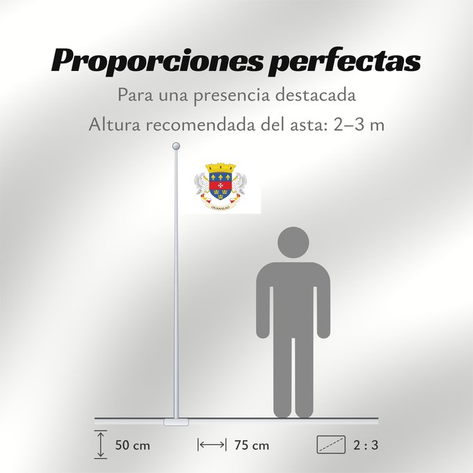 Proporciones de la bandera: Saint Barthélemy