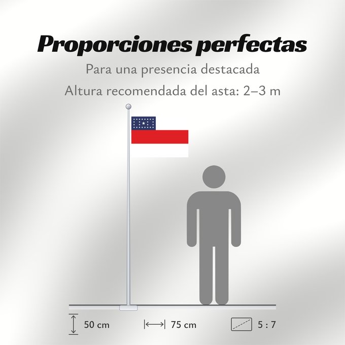 Proporciones de la bandera: Amazonas	Amazonas, state of Brazil	L’Amazonas, état du Brésil	Amazonas, Brasil	Amazonas, stato del Brasile	Estado do Amazonas, Brasil	علم أمازوناس، دولة البرازيل	Σημαία της Αμαζόνας	پرچم آمازوناس دولت برزیل	דגל אמסונס, מדינת ברזיל	अमेज़न	Banyè fanmi Amazo