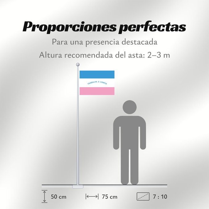 Proporciones de la bandera: Espírito Santo