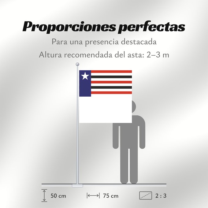 Proporciones de la bandera: Maranhão