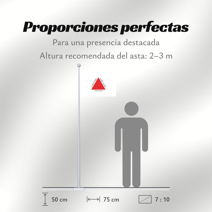 Proporciones de la bandera: Minas Gerais	Brazilian state of Minas Gerais is based on state law 2793 from 8 January 1963, which describes the flag as follows In the centre of a white rectangle in the format 20 units by 14 units is a red equilateral triangle with a side length of 8 un