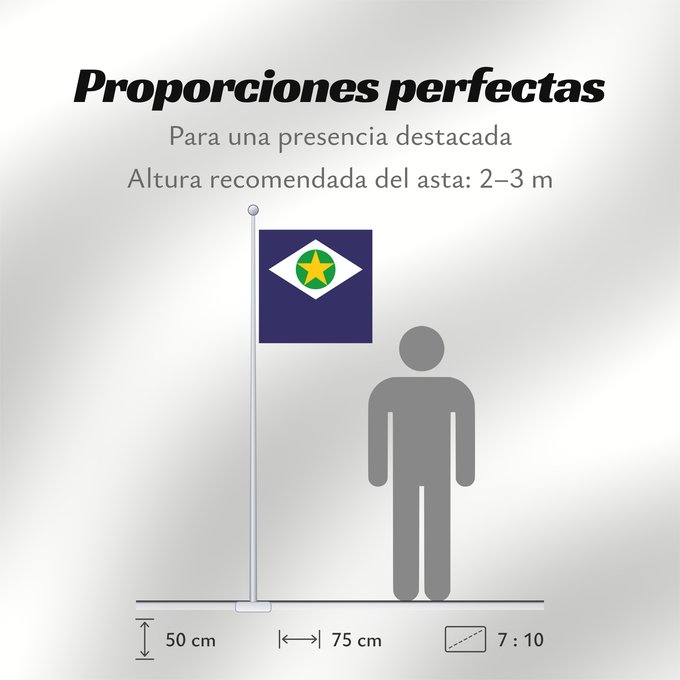 Proporciones de la bandera: Mato Grosso	State of Mato Grosso, Brazil	Mato Grueso	Mato Grosso, Brasil