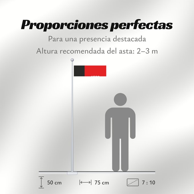 Proporciones de la bandera: Paraíba