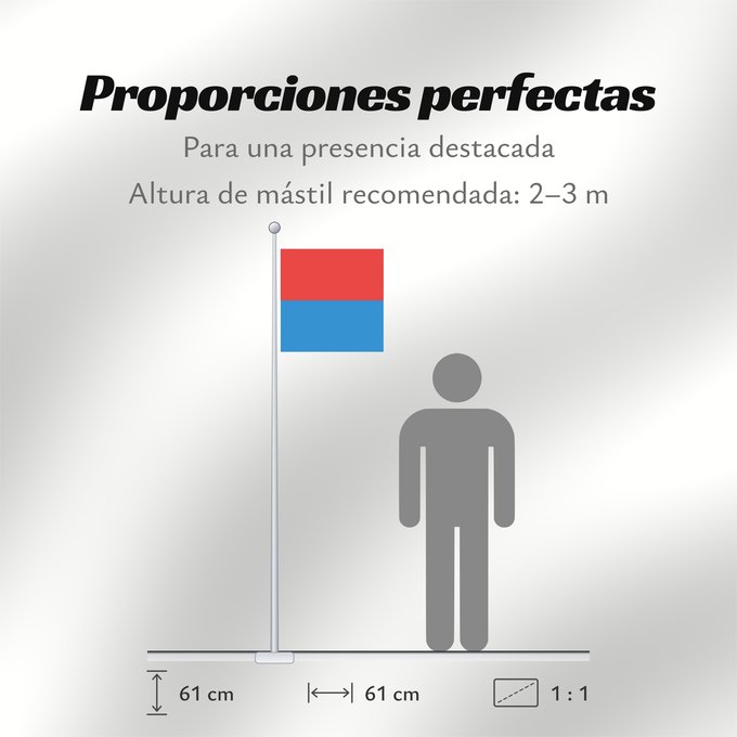 Proporciones de la bandera: Canton of Tessin	Canton Ticino or Ticino	canton du Tessin	Cantón del Tesino	Ticino	Canton of Tessin  Switzerland