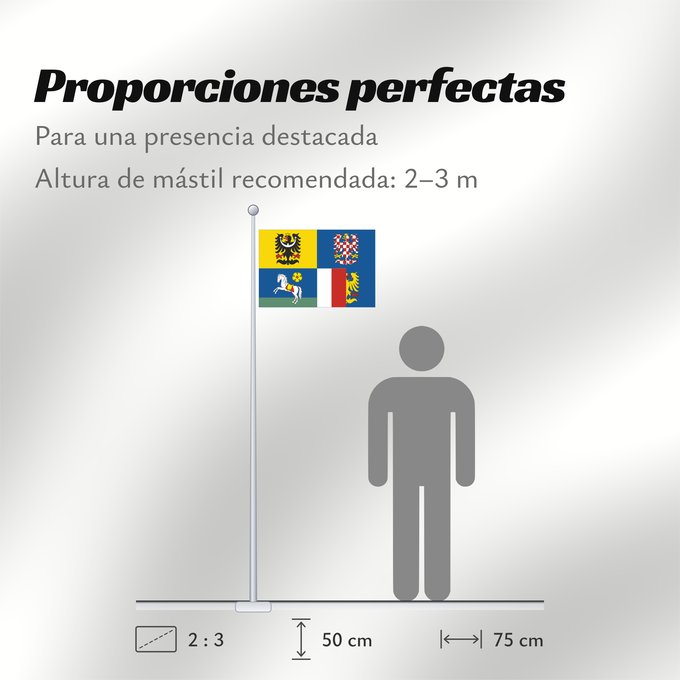 Proporciones de la bandera: Moravian-Silesian Region Région de Moravie-Silésie Región de Moravia-Silesia Moravian-Silesian Moravskoslezského kraje čtvrcený list v horním žerďovém žlutém poli slezská orlice v dolním žerďovém modrém poli na zeleném trávníku