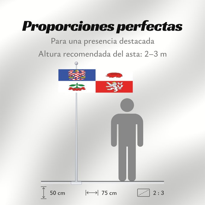 Proporciones de la bandera: Vysocina Region	Vysočina Region	Région de Vysočina	Región de Vysočina	Region Vysočina