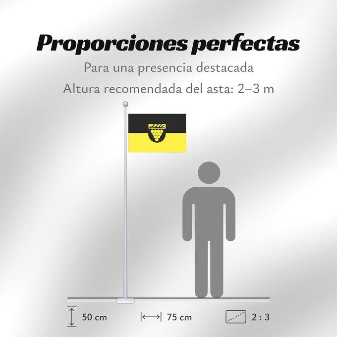 Proporciones de la bandera: Weinstadt (Region Stuttgart)