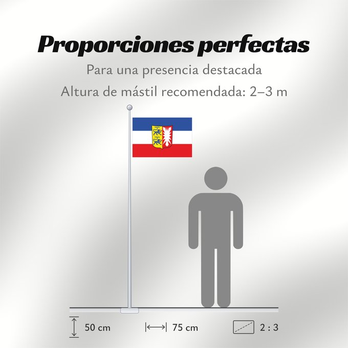Proporciones de la bandera: Schleswig-Holstein