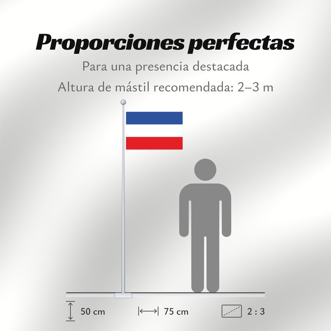 Proporciones de la bandera: Schleswig-Holstein