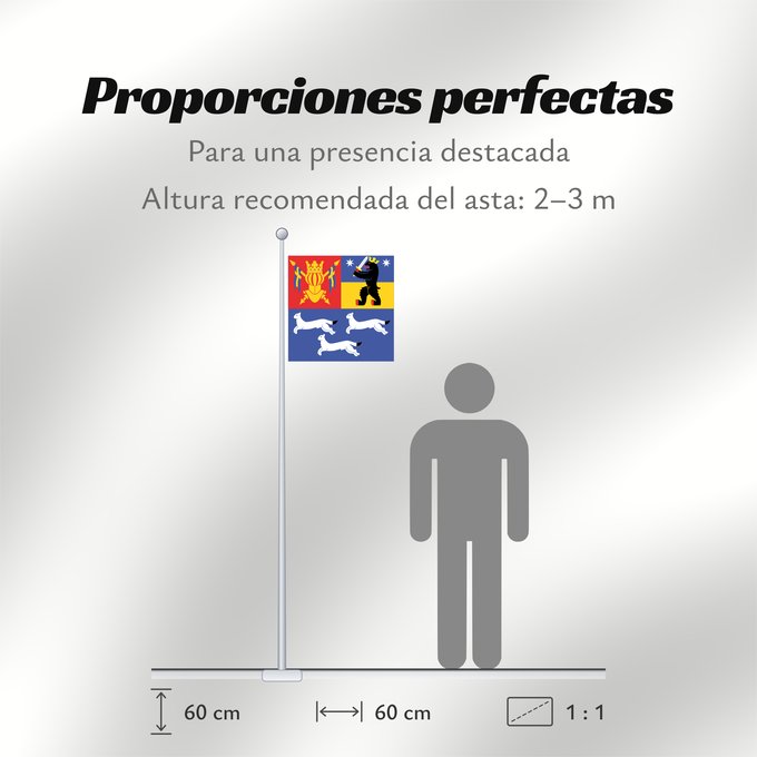 Proporciones de la bandera: Länsi-Suomen lääni