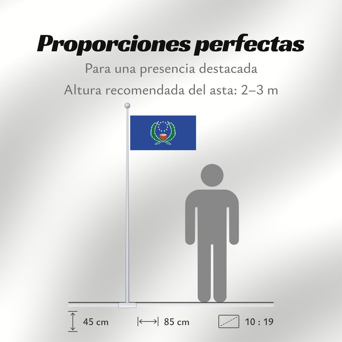 Proporciones de la bandera: Pohnpei	State of Pohnpei	L État de Pohnpei	Pohnpei 	Staates Pohnpei im Verhältnis 10 19 Beschreibung der Flagge  Das blaue Tuch steht für den Pazifik