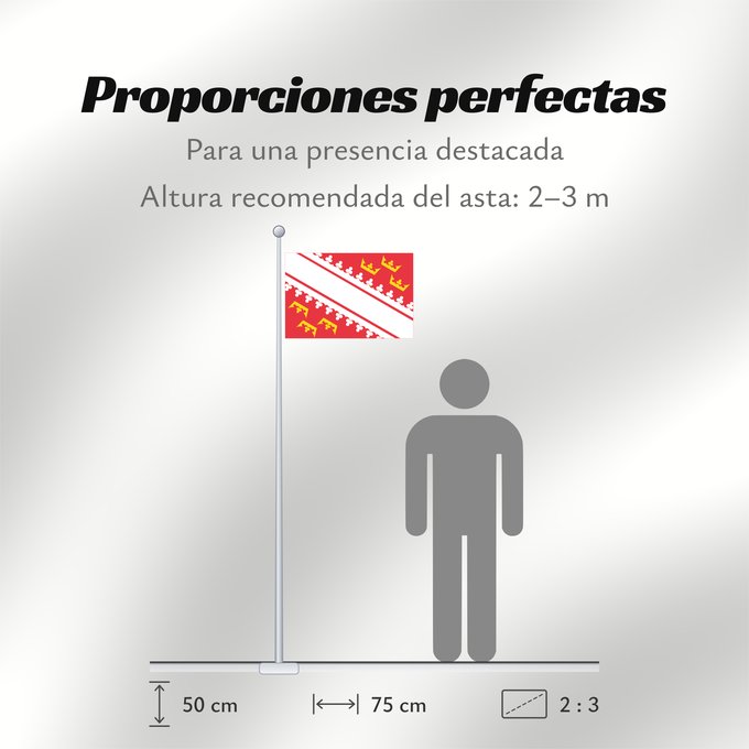 Proporciones de la bandera: Alsace L’Alsace Alsacia Französischen Region Elsass Alsazia