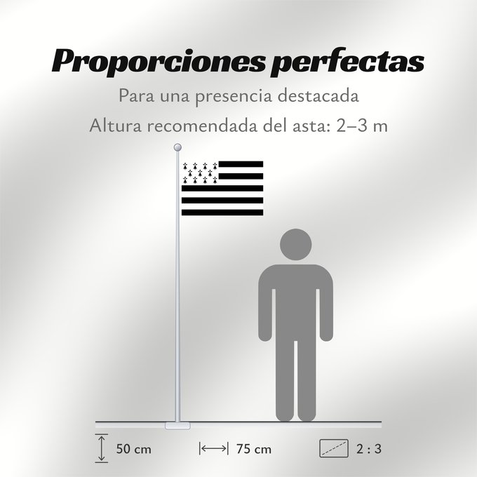 Proporciones de la bandera: Brittany	The Gwenn-ha-du, flag of Brittany	Le Gwenn-ha-du, drapeau de la Bretagne	Spaniel Bretón	Bretagna	Ar Gwenn-ha-du, banniel Breizh