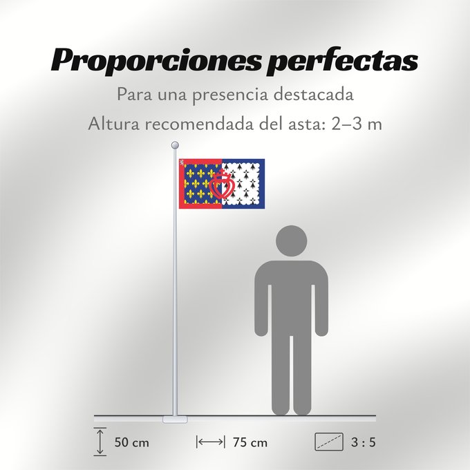 Proporciones de la bandera: Unofficial flag of Pays-de-la-Loire	Unofficial flag of the region Pays-de-la-Loire in France	Non officiel de la région Pays-de-la-Loire	Países del Loira	Pays de la Loire	Los Païses de Léger