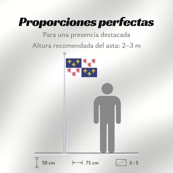Proporciones de la bandera: Picardie Region Picardie in France Région Picardie en France Picardo Picard
