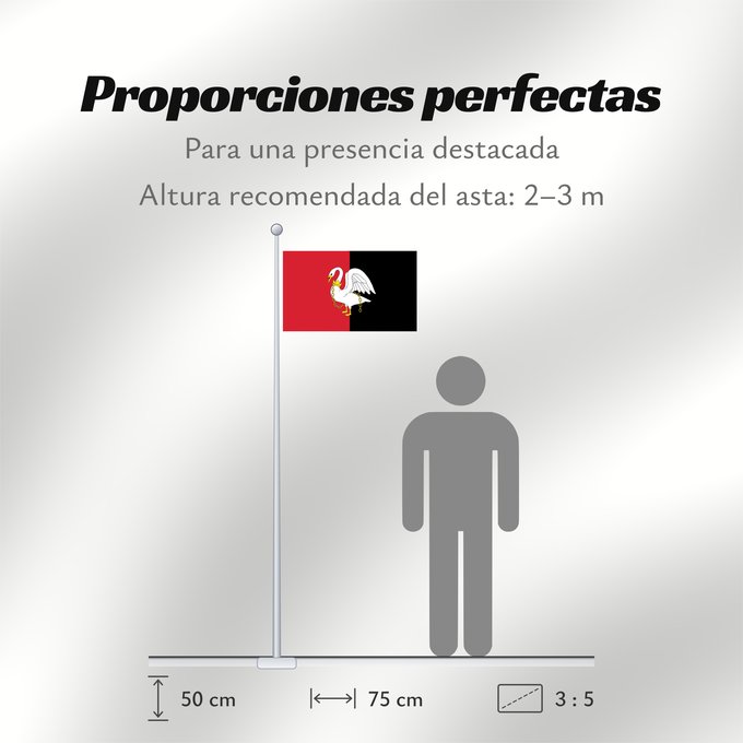 Proporciones de la bandera: Buckinghamshire