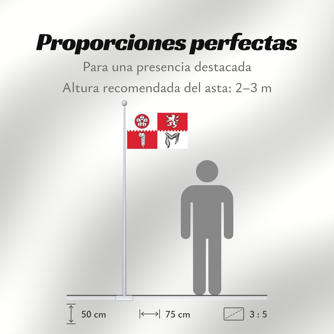 Proporciones de la bandera: County flag of Leicestershire	The County Flag of Leicestershire	Leicestershire