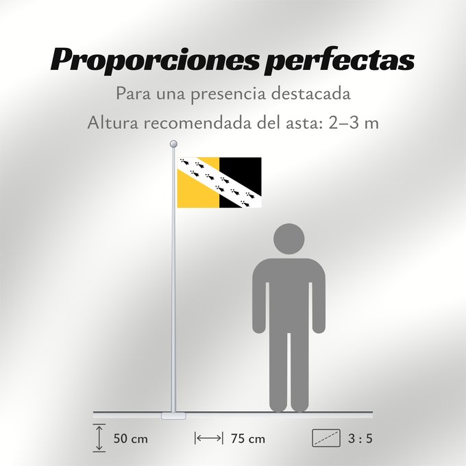 Proporciones de la bandera: Norfolk