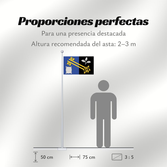 Proporciones de la bandera: County flag of Surrey The County Flag of Surrey Surrey