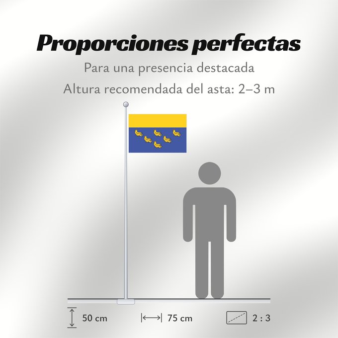 Proporciones de la bandera: West Sussex