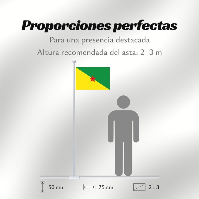 Proporciones de la bandera: French Guiana	Guyane	Guayana Francesa	Französisch-Guayana	Guyana Francese