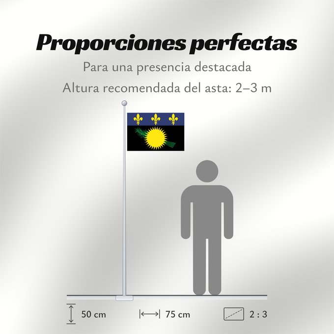 Proporciones de la bandera: Unofficial flag of Guadeloupe  local	Unofficial local flag of Guadeloupe	Guadeloupe	Guadalupe. Uso no oficial	Guadalupa