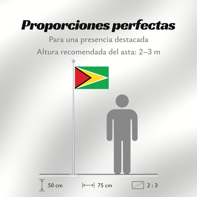 Proporciones de la bandera: Guyana Guiana Wayana wiphala Gujano Gwayana Wayana unancha Флаг Гайаны Guyanas Quốc kỳ Guyana