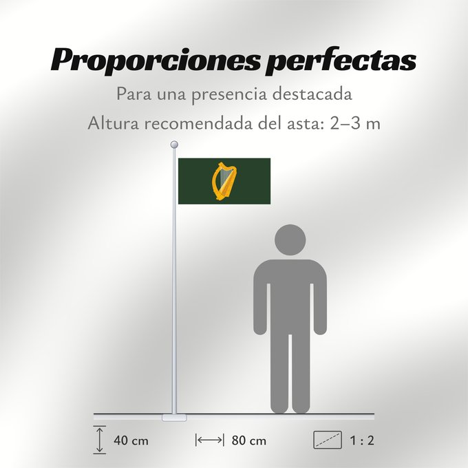 Proporciones de la bandera: Leinster W Leinster