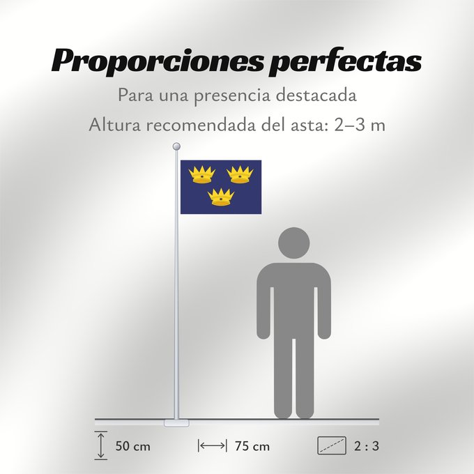 Proporciones de la bandera: Munster