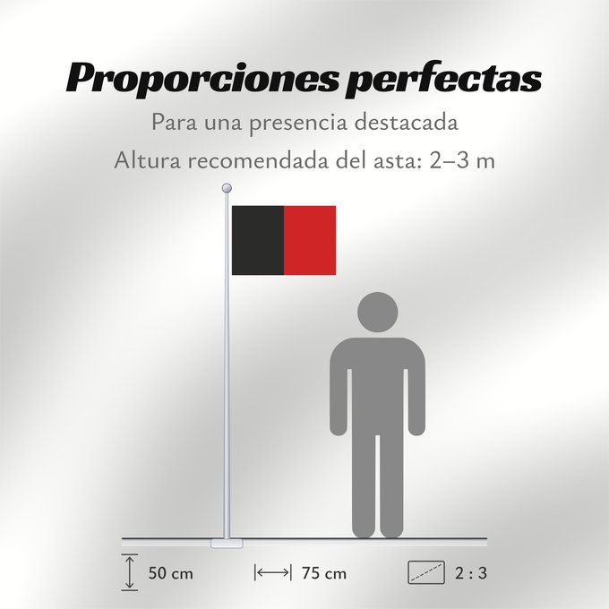 Proporciones de la bandera: Aosta, Aoste